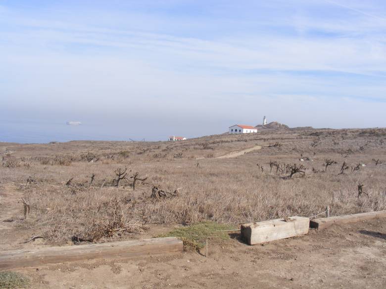 Anacapa Island