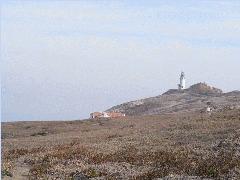 Anacapa Island